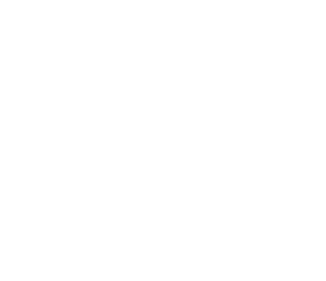 braune feddermann scheibel