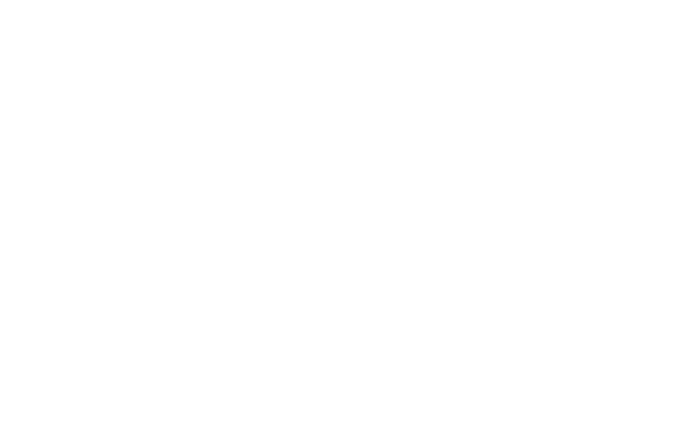 mehnert herting frommhold